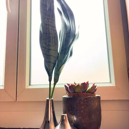 Coton By Maison Barfusser Appartement *